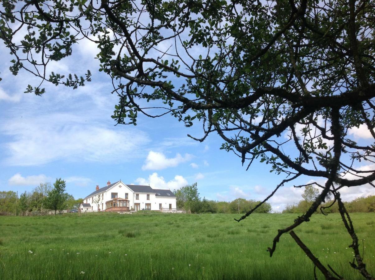 Penddaulwyn Uchaf Farm # Carmarthenshire Apartment Nantgaredig Exterior photo